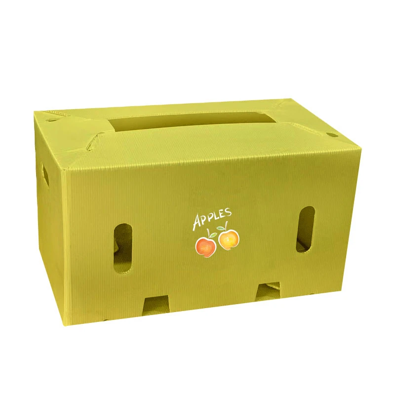 Caja de plástico PP